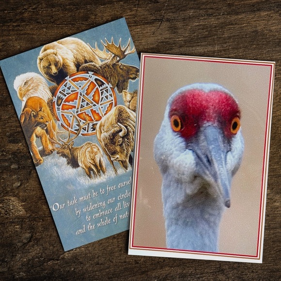 4ct Assortment of Colorado Cards and Envelopes - Picture 1 of 16